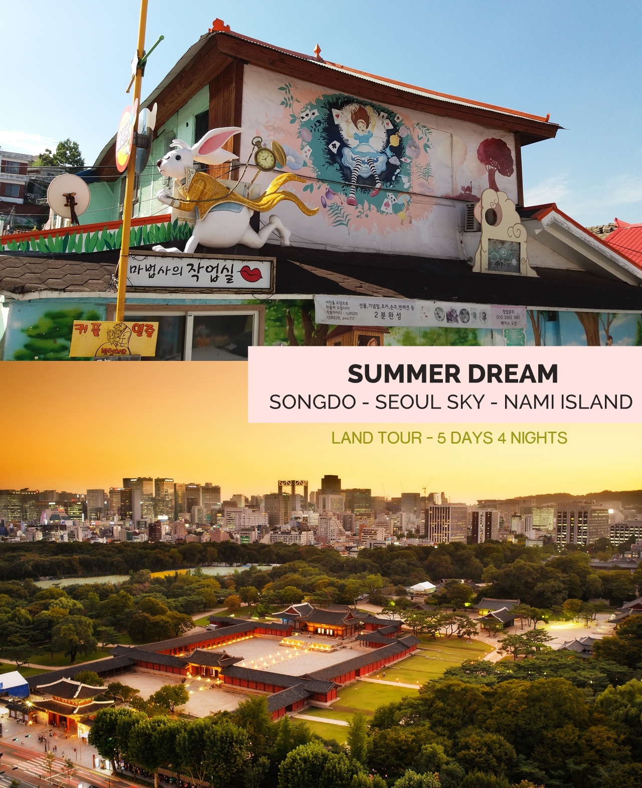 Korea Summer Dream Tour